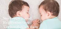 Marla Neufeld, Esq - Surrogacy Attorney image 3